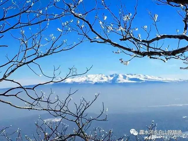 缤纷水果茶无敌版